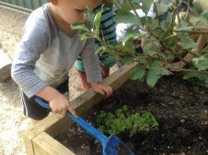 Pre Kinder Composting herb planting (6)